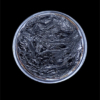 Borneo Raw Resin