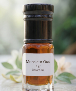 Monsieur Oud